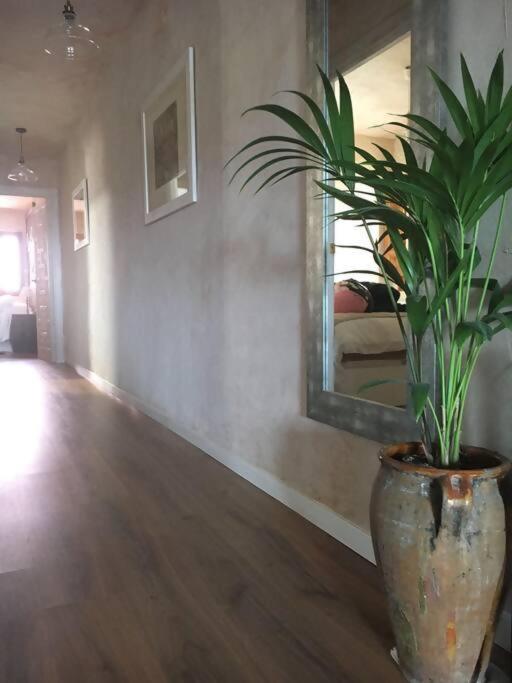 Luxury Danna Plaza Mayor Cuenca  Dış mekan fotoğraf
